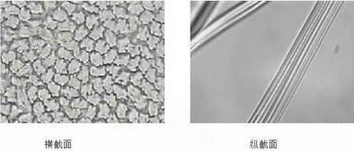 天丝棉和真丝的区别,天丝棉麻与棉料棉麻区别