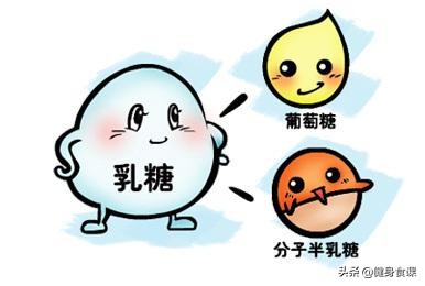 健身吃蛋白粉拉肚子怎么控制,健身喝蛋白粉无法吸收