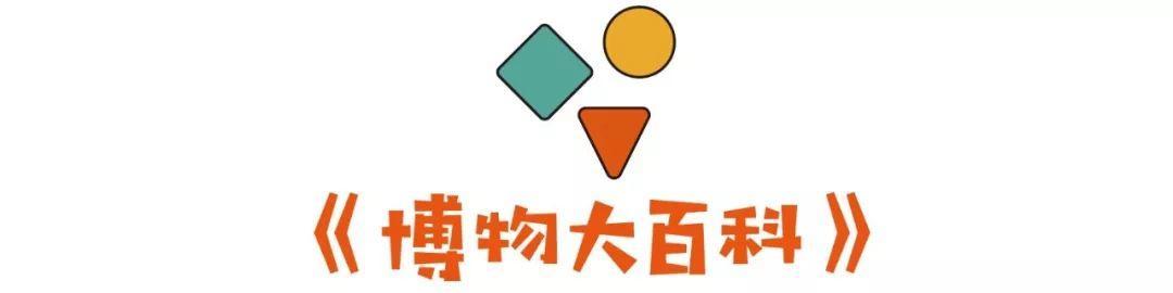 dk系列书籍六岁孩子适合入手哪些,dk儿童认知书推荐