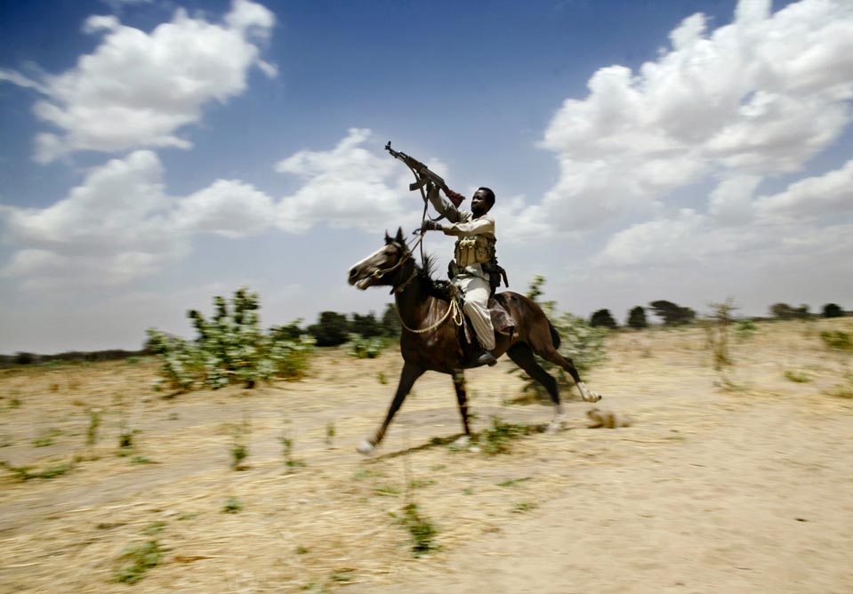 ngo在中国的代理人,ngo在哪里可以参加