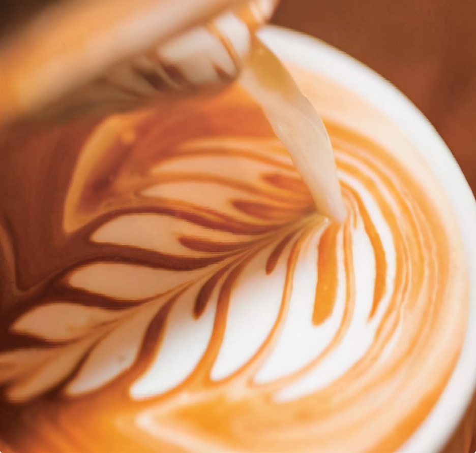 市面上的牛奶怎么选择权威一点的,选择牛奶主要看什么