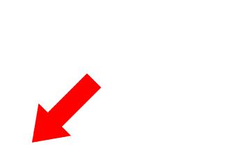 广州沙园菜市场价格,广州沙园菜市场水果