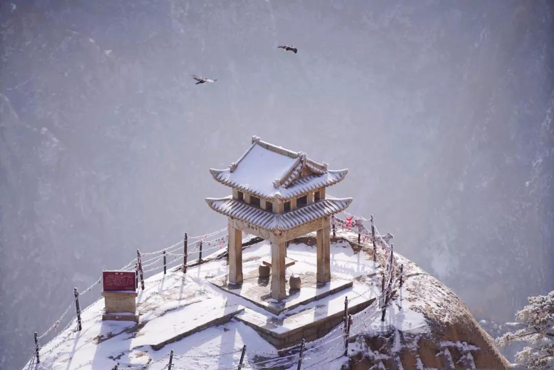 华山雾凇奇观在哪里,爬山看雾凇去哪最好