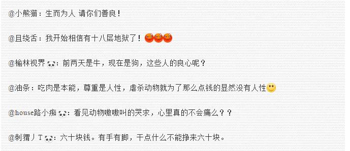 鐙楄倝璐╁瓙寮鸿缁欑嫍鐏屾按,鐙楄穿瀛愮粰鐙楄倝鐏屾按