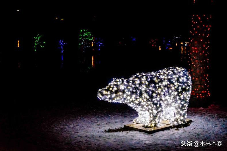 加拿大多伦多生活日记,加拿大多伦多留学生活纪实