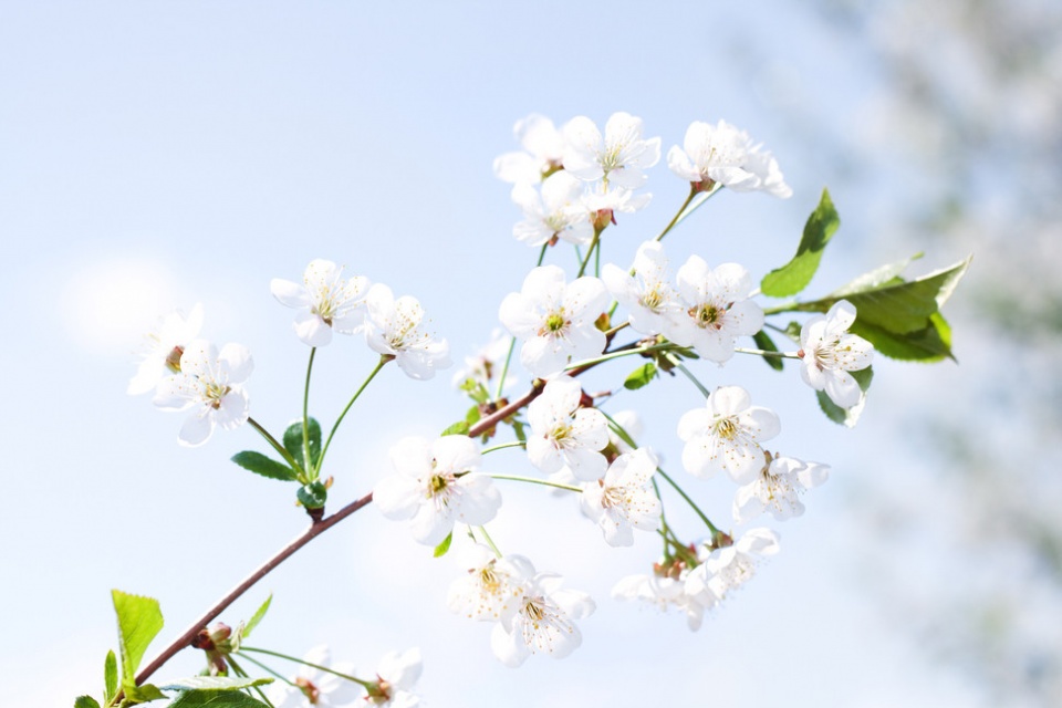 对恋爱不如何上心的星座,恋爱中容易让恋人对他失望的星座