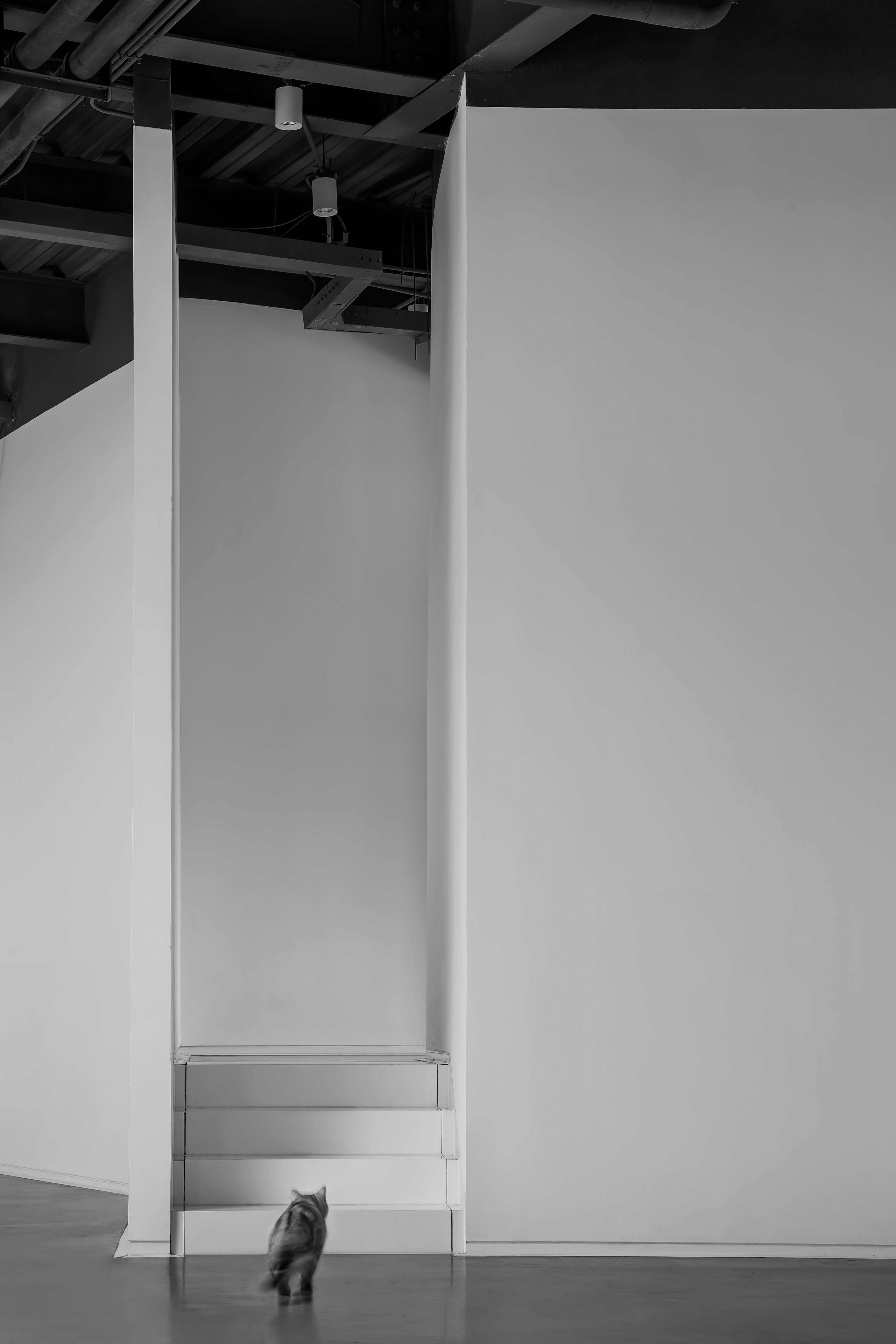 CUN寸DESIGN|静谧与光明——北京三区美术馆