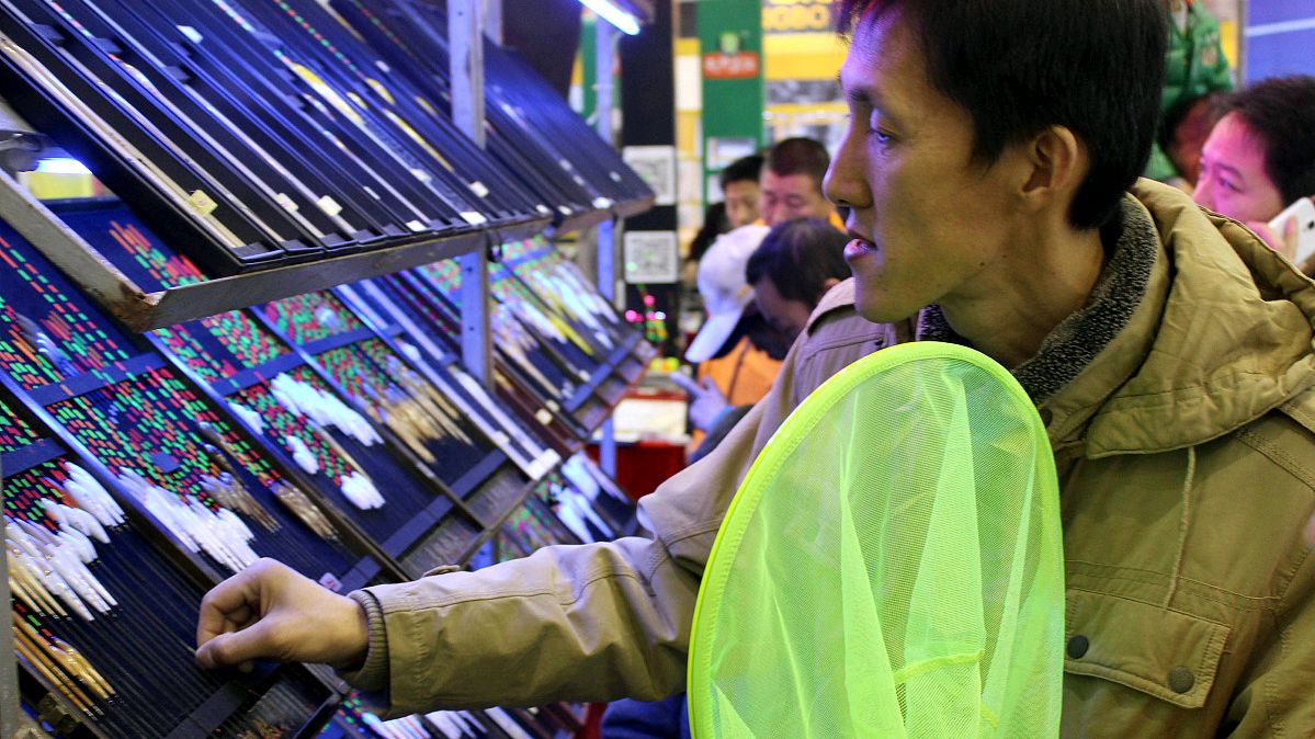 新手钓鱼选竿选线组,新手钓鱼选漂明白这几点