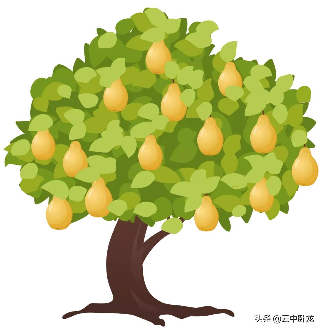 老韩讲故事100个视频,老韩讲故事最后一颗子弹