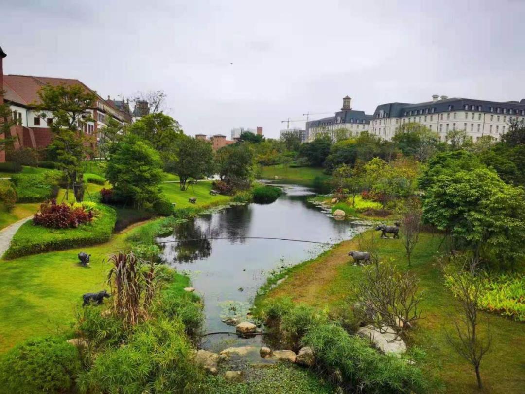 松山湖最深度解析,深度解析松山湖