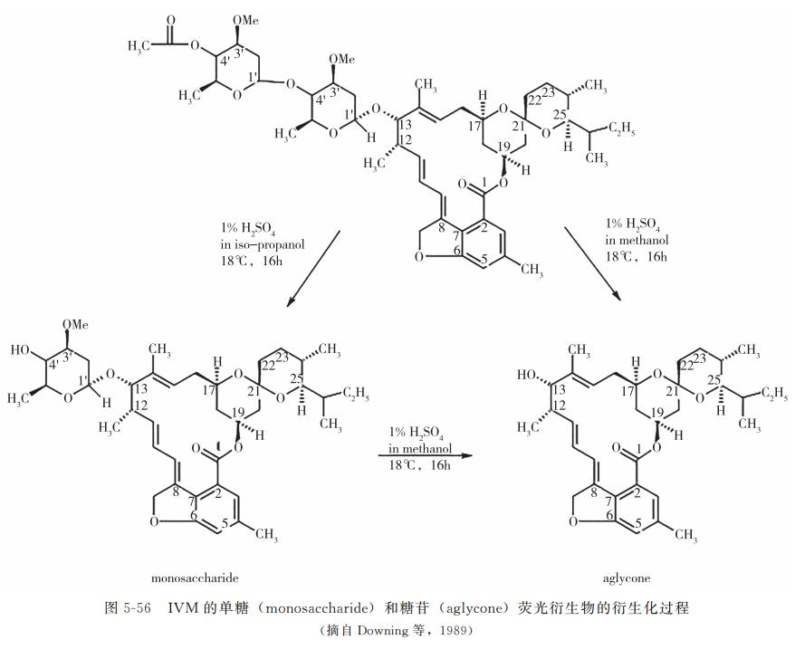 动物源性食品检测,动物源性成分检测
