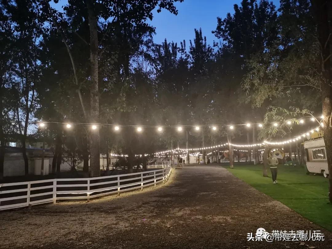 北京五环内新开萌宠乐园,除了喂动物,还能玩大滑梯、免费享帐篷