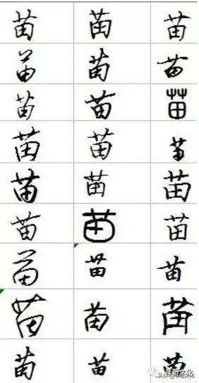 苗的姓氏文化,百家姓苗字书写方法