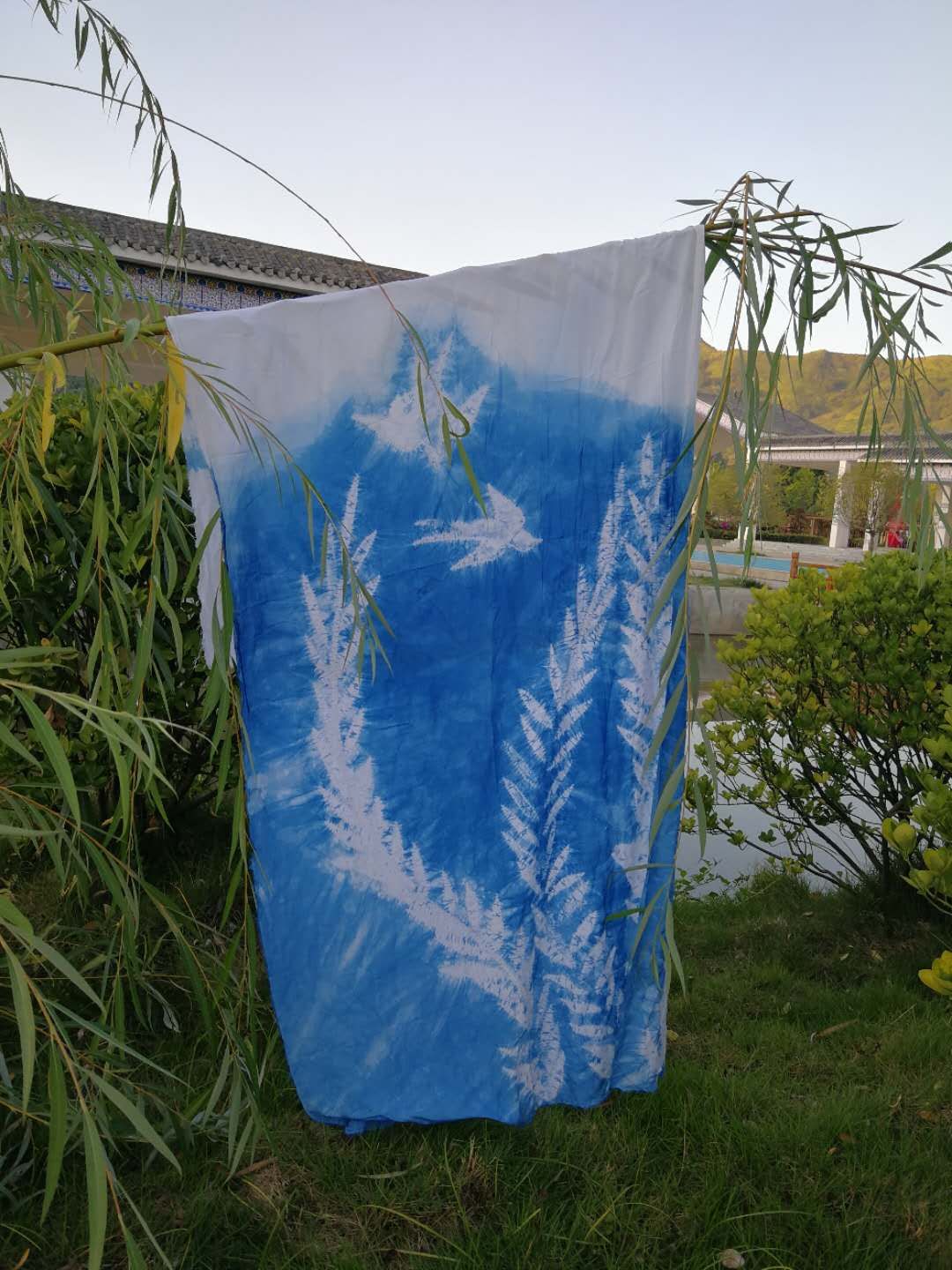 鍐滆鎵惰传鐩存挱甯﹁揣,鍐滆甯﹁揣鎵惰传鐩存挱