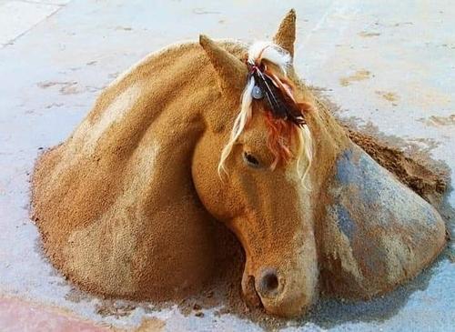 老外沙雕动物视频,外国人沙雕模仿动物