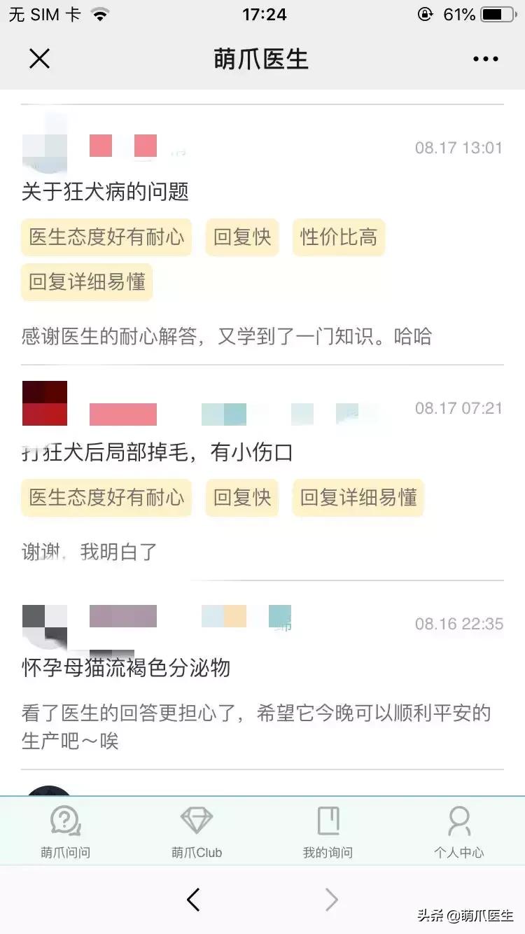 足不出户就能在线治猫病,24小时猫病在线咨询