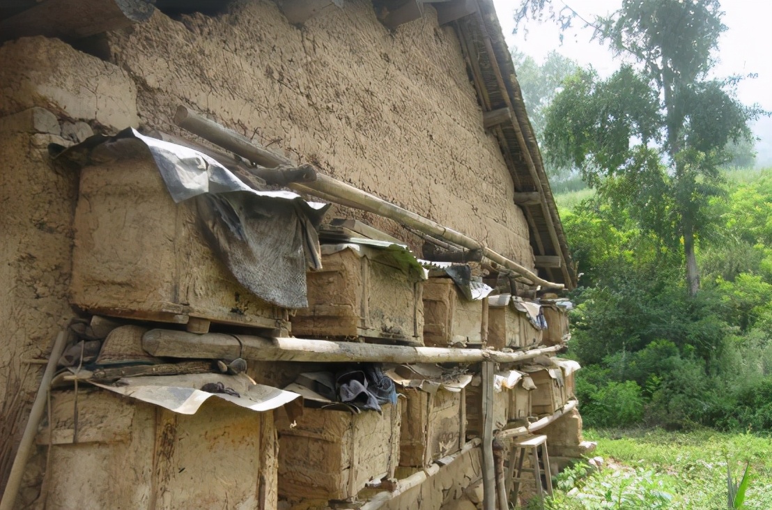 曾卖上百元1斤的土蜂蜜，城里人专门跑农村购买，为何现在少了？