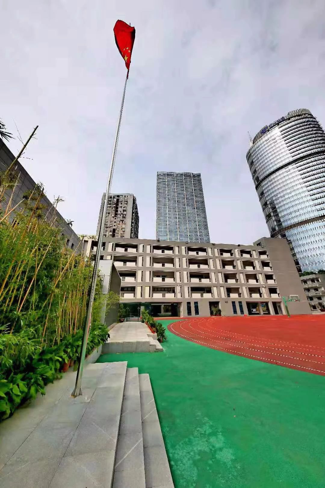 名校力量|原来你是这样优秀的科利华