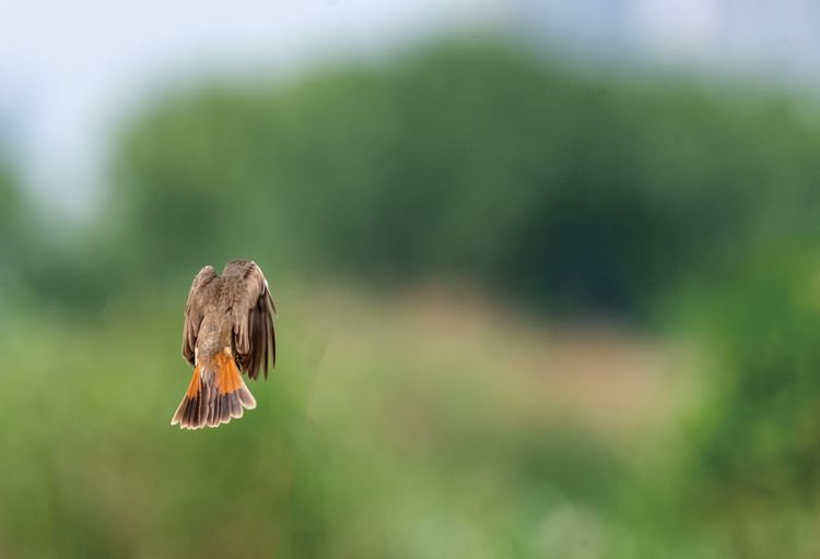 情人岛拍摄地点,情人岛航拍视频