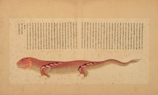 你以为人鱼都美的惊心动魄？那你是没有见过丑的！