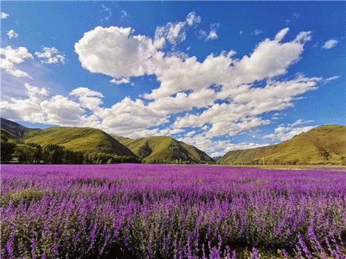 甘孜5日旅游攻略最新,四川旅游团去甘孜旅游攻略