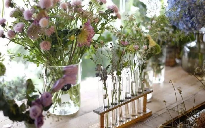 北京最美花店,她放弃了总监职位后续