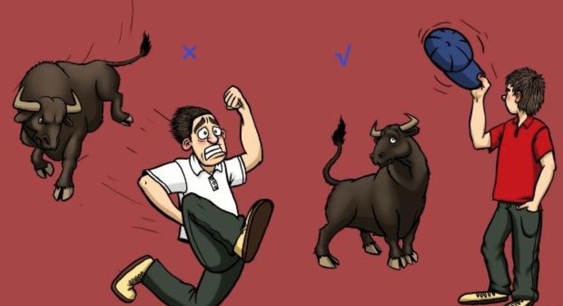 动物遇到危险会怎么做,野外遇到危险动物怎么办