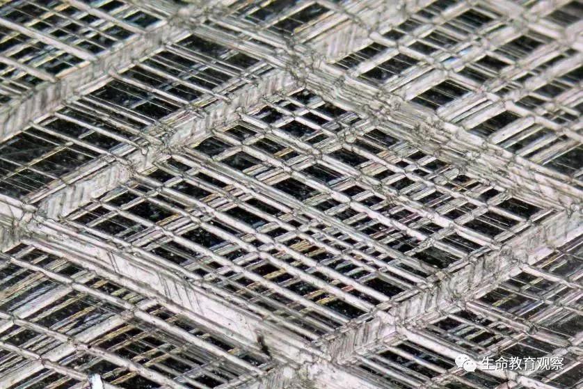 看完后，整个人都有点不对劲了（传播生物知识）