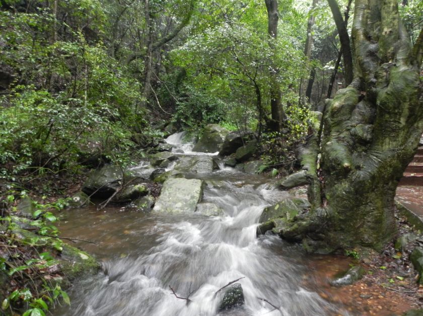 玉溪避暑住宿哪里最好,玉溪周边避暑哪个县城最凉快