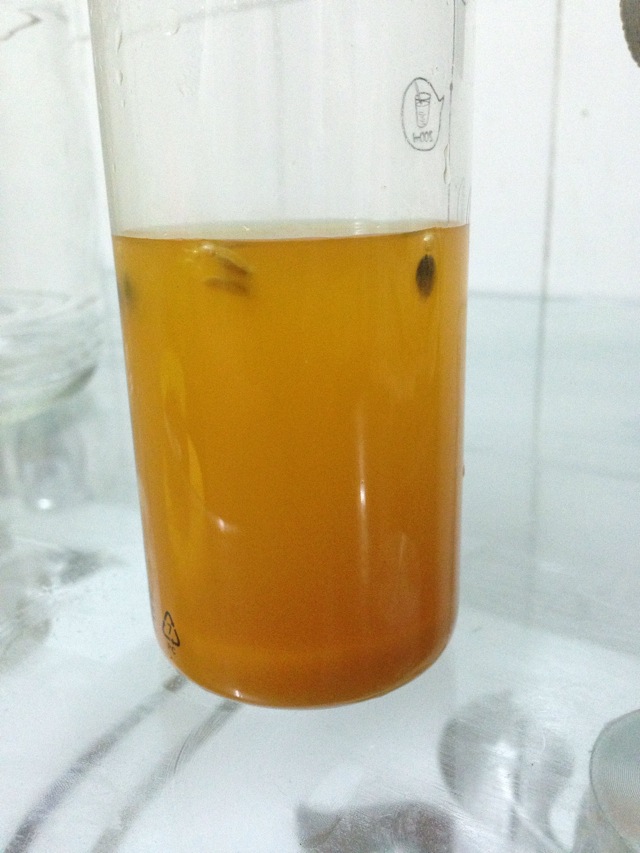 水果酒做法自制梅子酒,有哪些水果可以自制水果酒