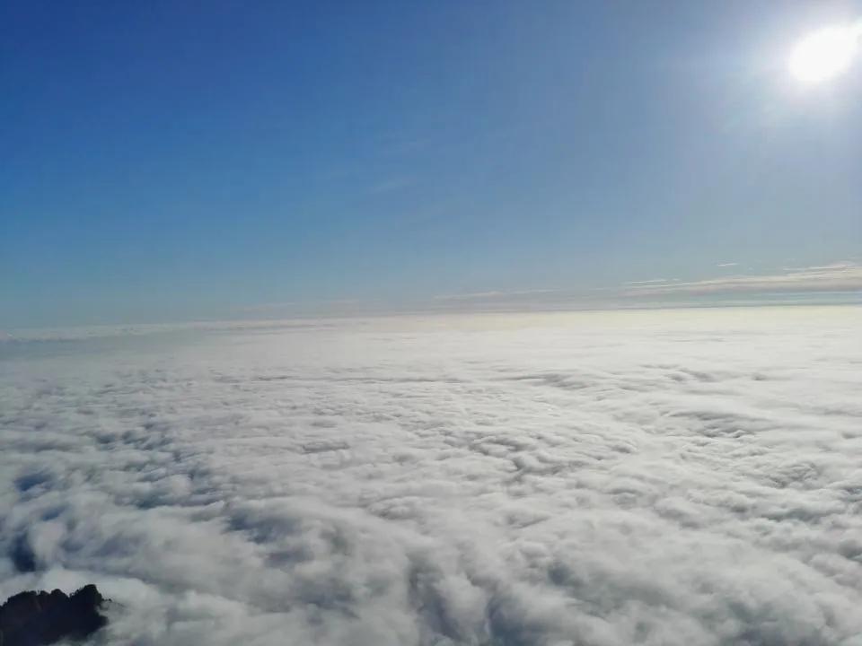 峨眉山有什么灵猴,峨眉山灵猴在哪