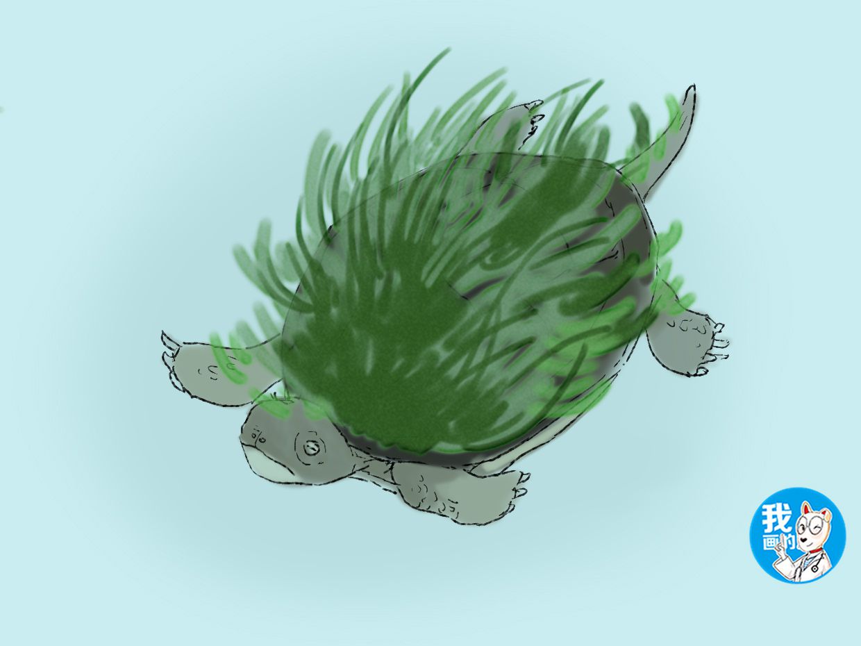 男子出差托朋友照顾他女朋友,男子出差把女友照顾