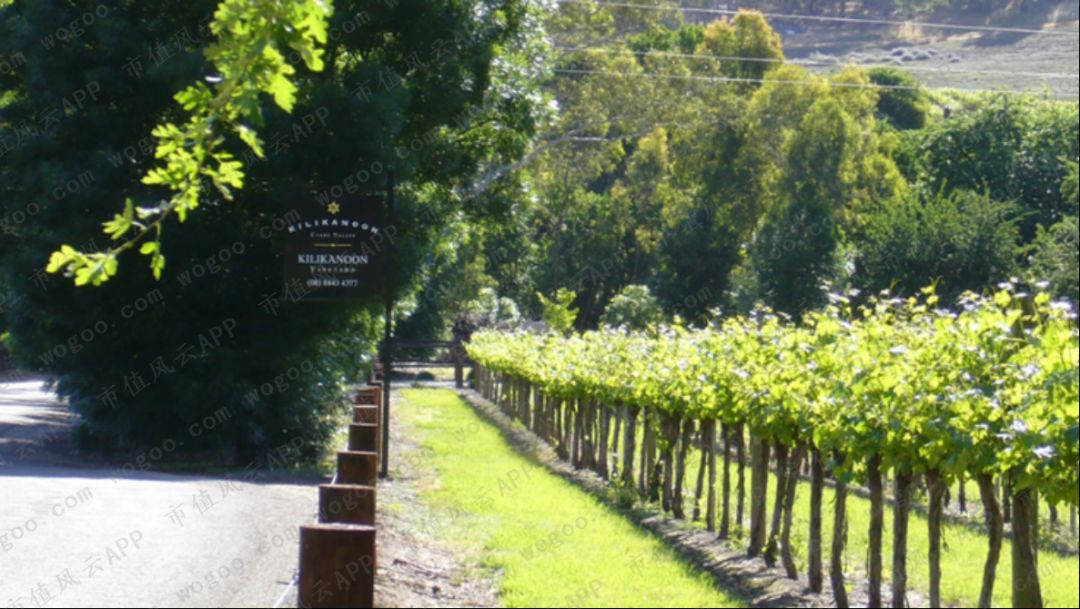 “风雨两甲子”张裕A：百二秦关终归楚，三千越甲可吞吴