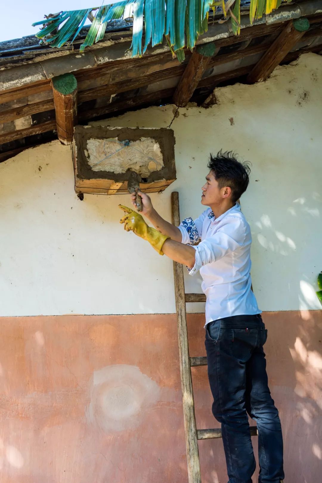 土蜂蜜取蜜全过程,土蜂蜜正确取蜜方法