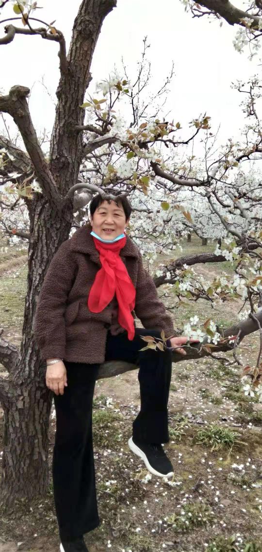 赵县，我最钦佩的大姐