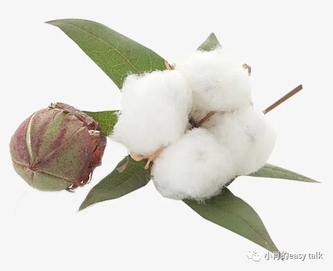 三件套水洗棉面料知识,面料三维视频