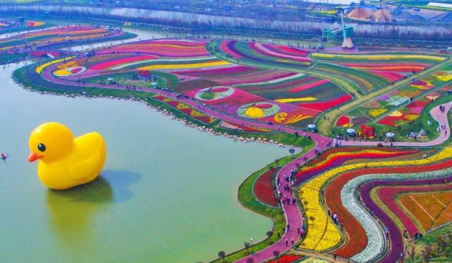 为什么中国叫“荷兰豆”，荷兰却叫“中国豆”，到底是谁叫错了