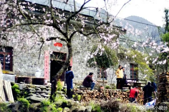 10年前，那个花83元穷游*藏西**的姑娘，后来怎么样了？