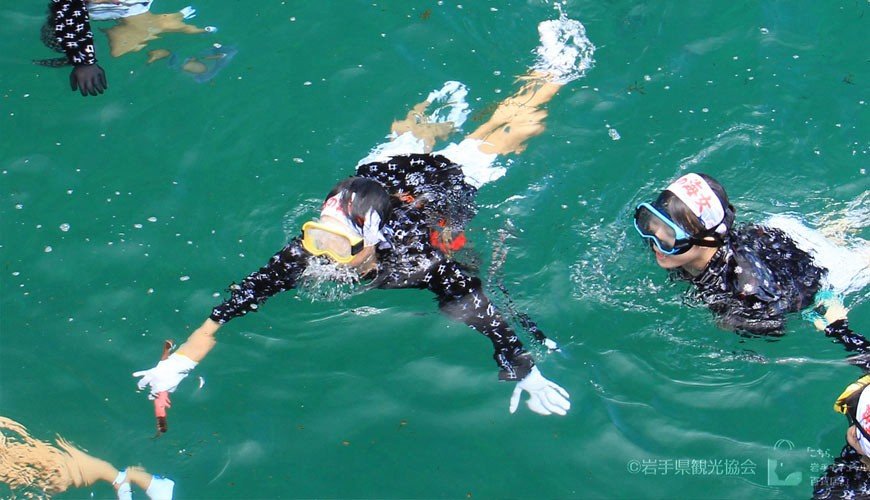 日本岩手县观光攻略,日本岩手县怎么样