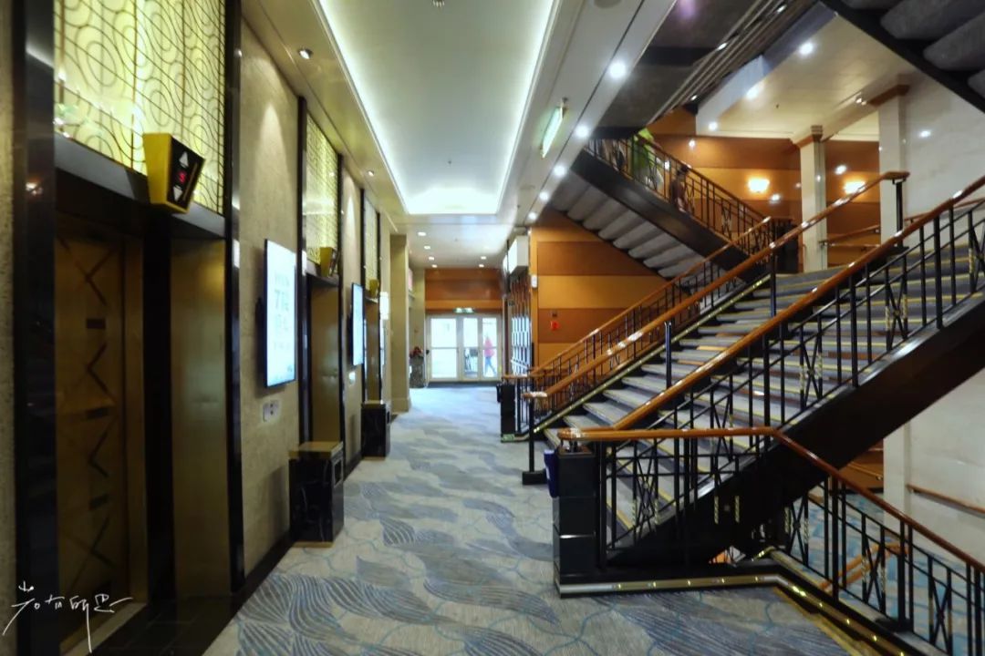 带父母豪华游轮环球旅行,带着父母们出游