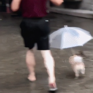 鑫联盟随行付合法吗,随行付鑫联盟是怎么回事