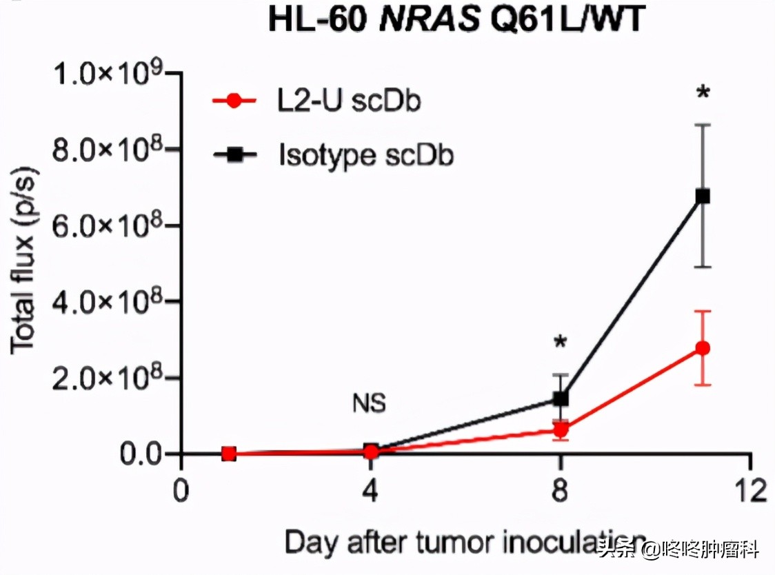 全新免疫疗法：“免疫+靶向”，开启癌症治疗双特异性抗体时代