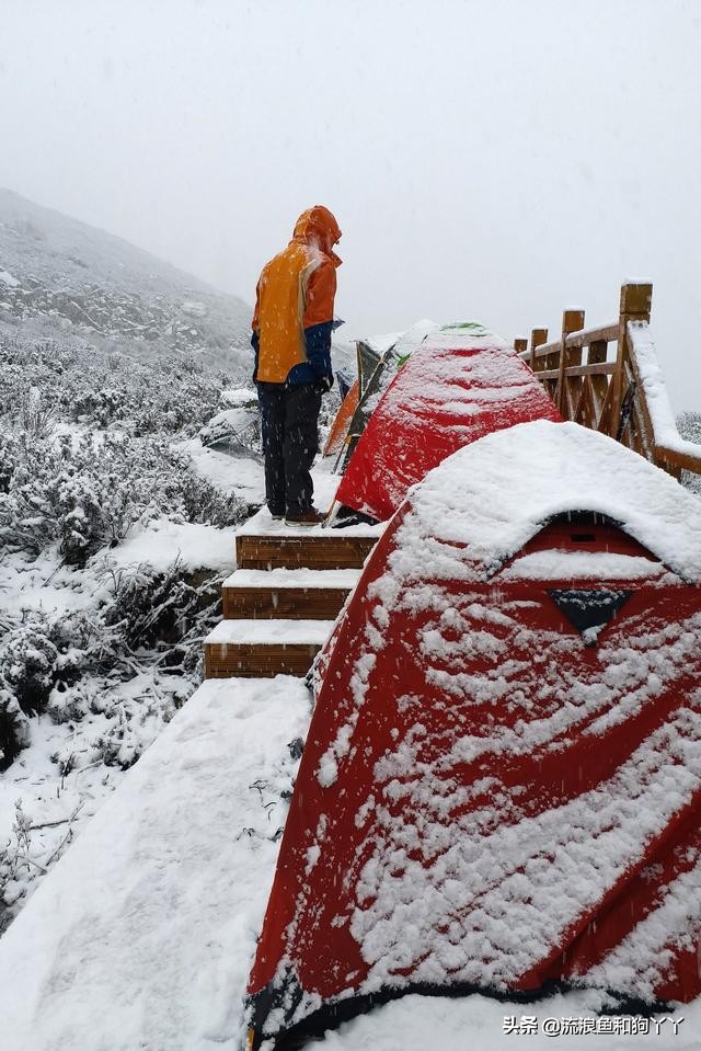 年保玉则现在开放了吗,年保玉则为啥被封