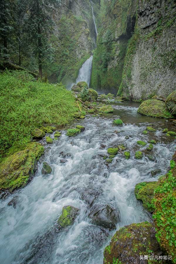抓拍运动人物拍摄技巧,摄影技巧拍视频风景