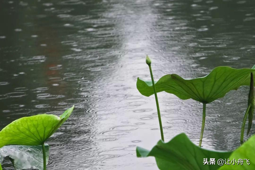 小满未满小得盈满,小满知足盈满常乐