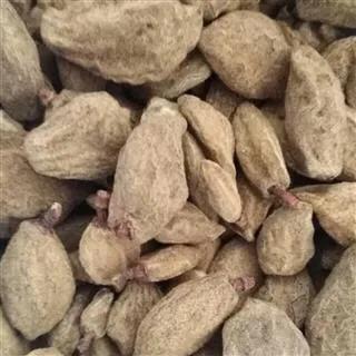 桃奴为什么那么贵,如何解决桃奴现象