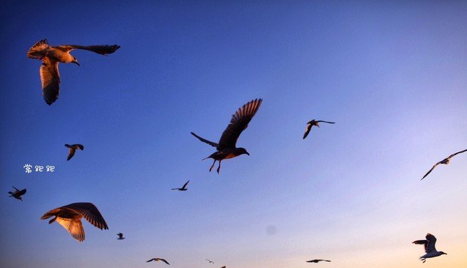 港口风情街美食,北海道美景旅游美食攻略