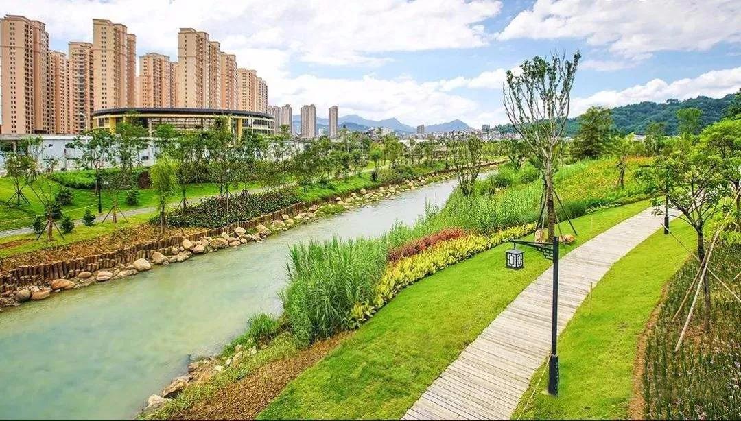 东山片区最新评测,上半年各楼盘业绩排名