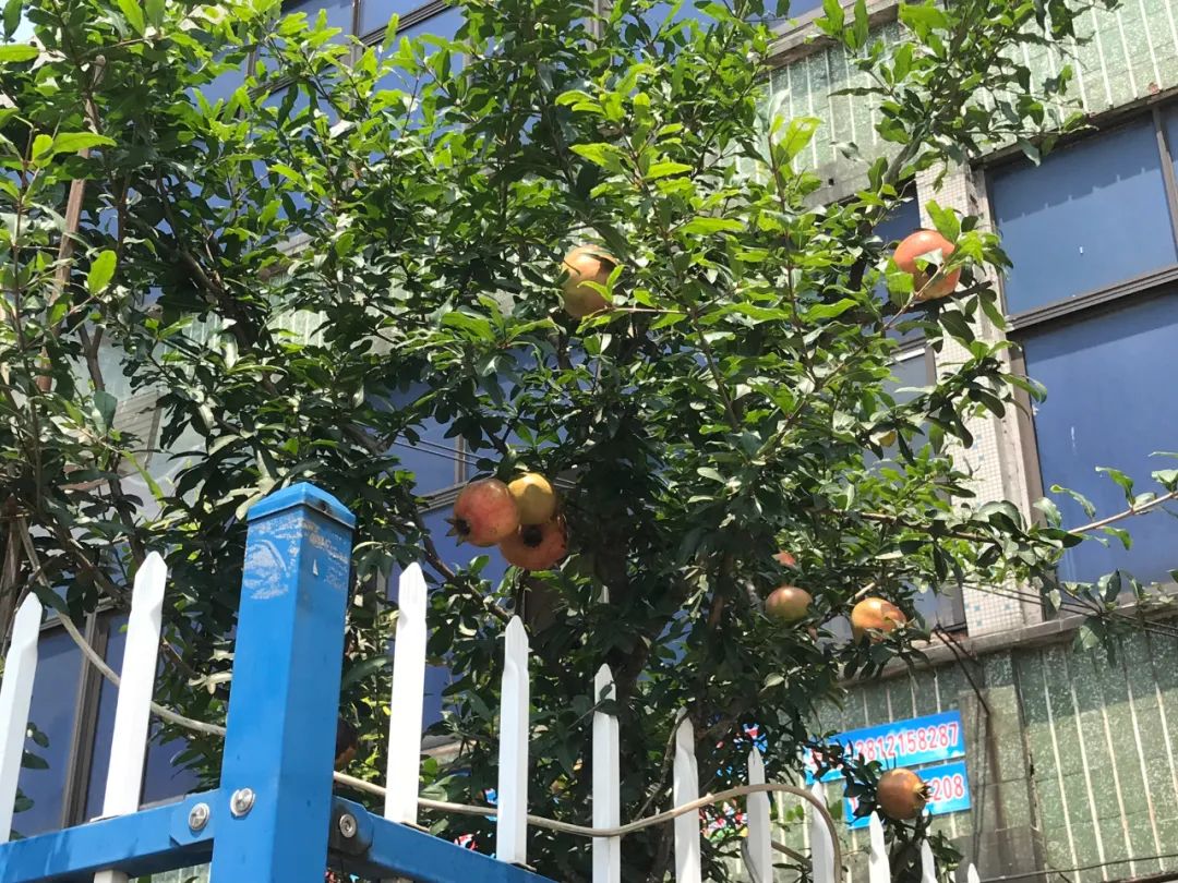 羡慕!快来看看江阴申港街道这些“美丽”榜样