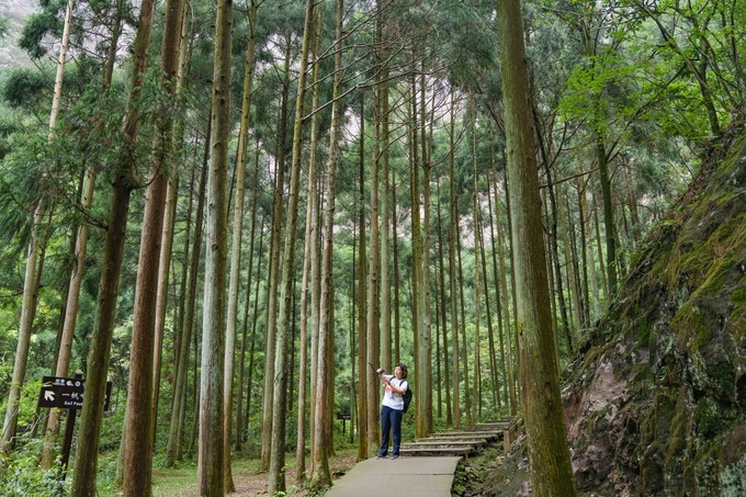 雁荡山旅游攻略三日游价格,雁荡山一日游最佳攻略